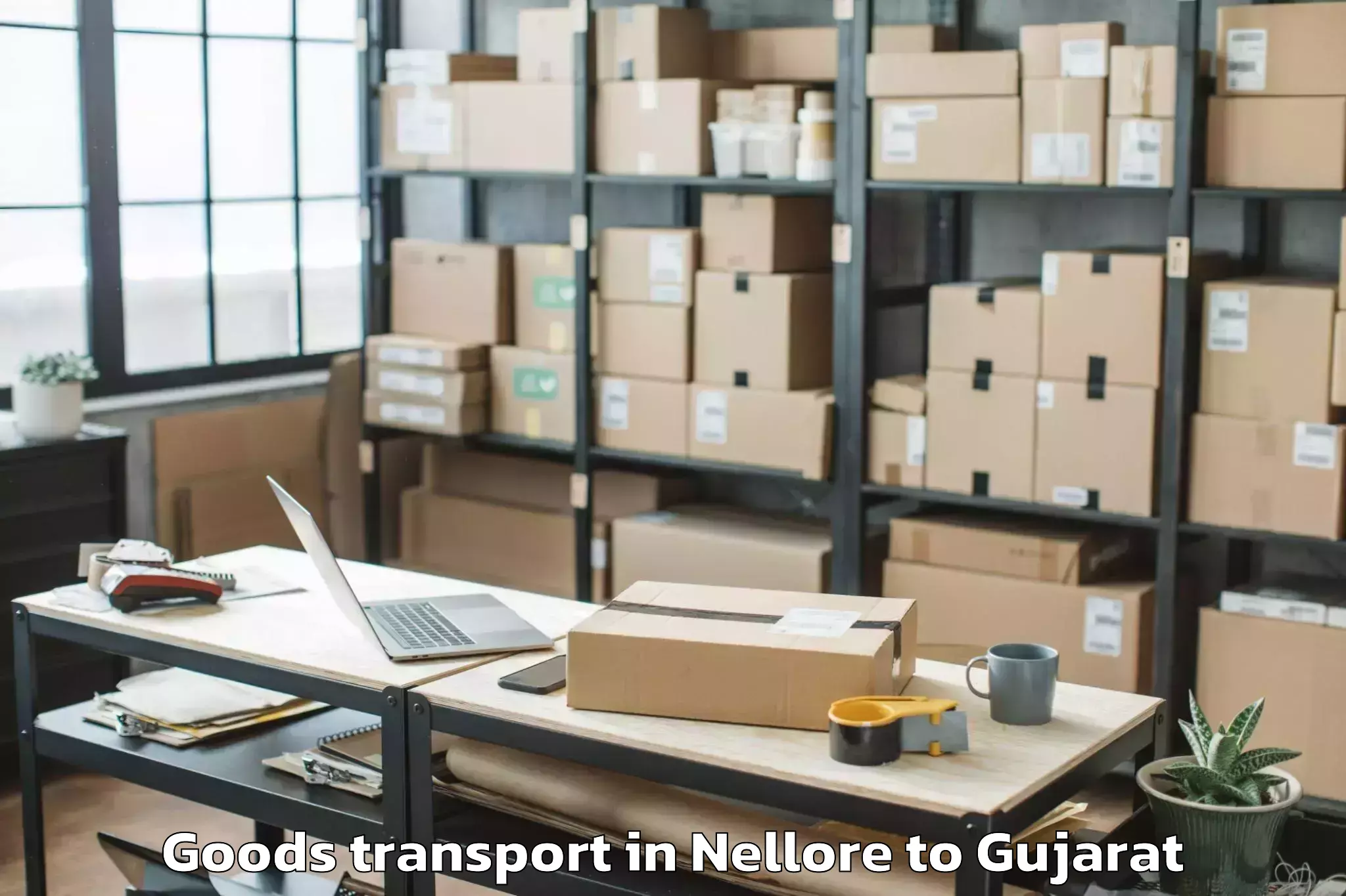 Quality Nellore to Marwadi University Rajkot Goods Transport